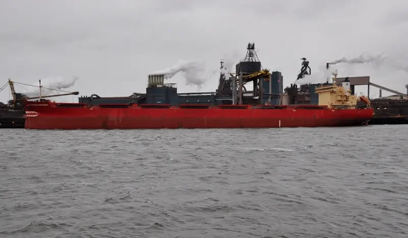 NORDIC ODYSSEY Bulk Carrier IMO 9529451 photo 10