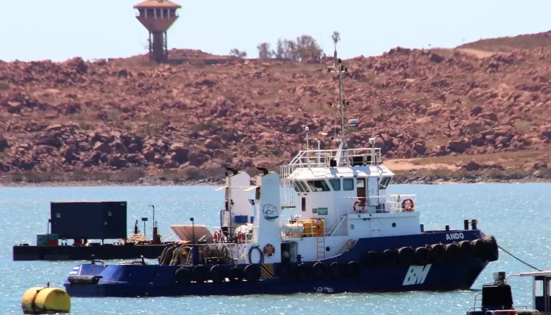 ANDO General Cargo IMO 9529554 photo 6