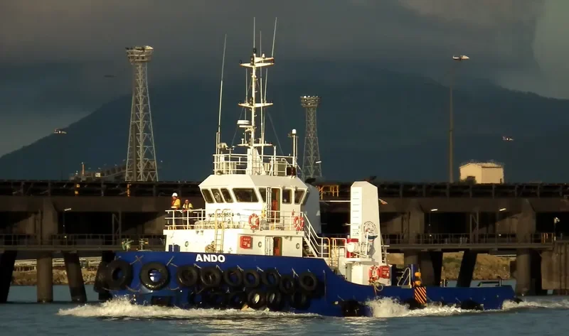 ANDO General Cargo IMO 9529554 photo 8
