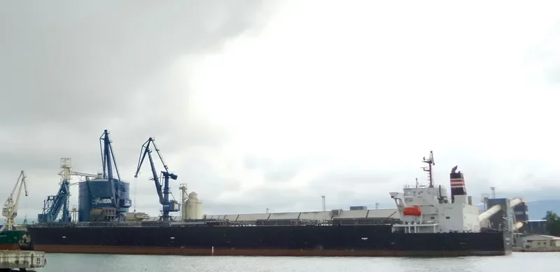 LBC NATURE Bulk Carrier IMO 9529619 photo 3