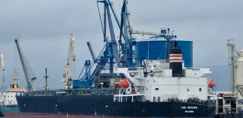 LBC NATURE Bulk Carrier IMO 9529619 photo 4
