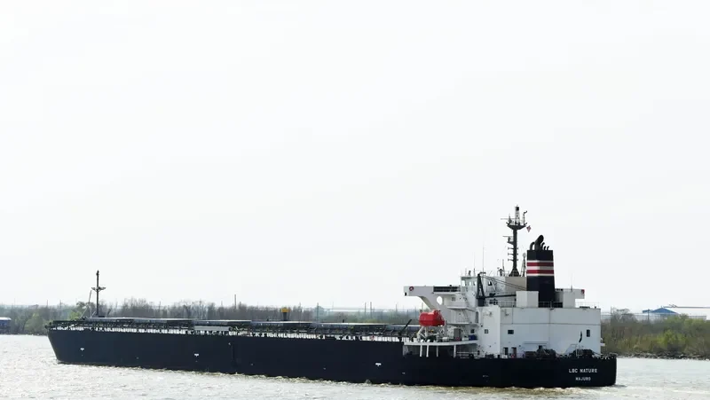 LBC NATURE Bulk Carrier IMO 9529619 photo 7