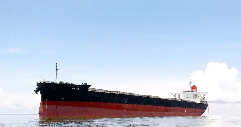RIN YO Bulk Carrier IMO 9529633