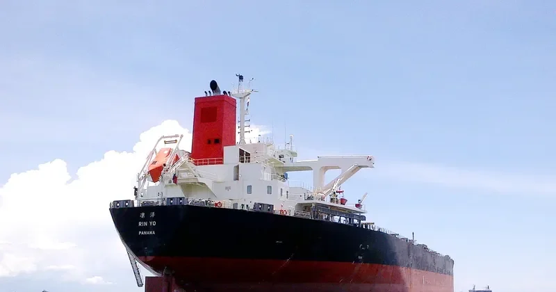 RIN YO Bulk Carrier IMO 9529633 photo 2