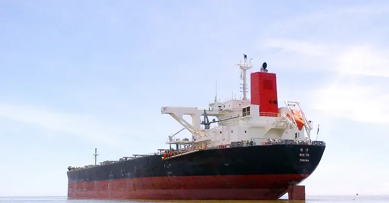 RIN YO Bulk Carrier IMO 9529633 photo 4