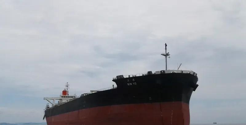 RIN YO Bulk Carrier IMO 9529633 photo 8