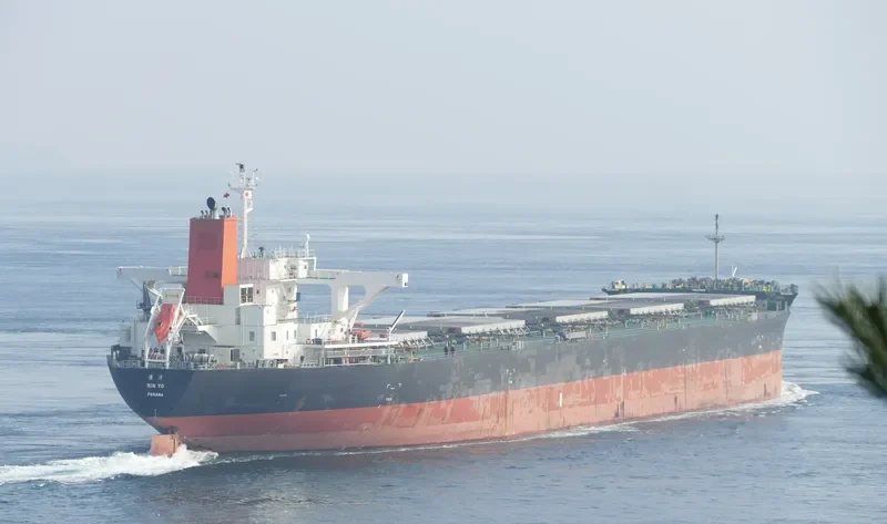 RIN YO Bulk Carrier IMO 9529633 photo 9