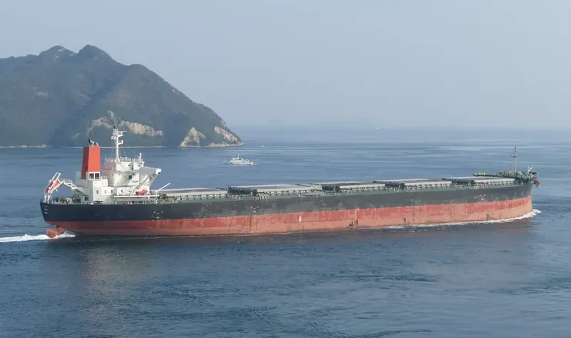 RIN YO Bulk Carrier IMO 9529633 photo 10