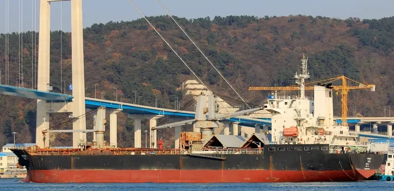 NAVI SUNNY General Cargo IMO 9530333 photo 2