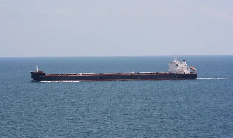 IOLCOS AMBITION Bulk Carrier IMO 9530632 photo 6