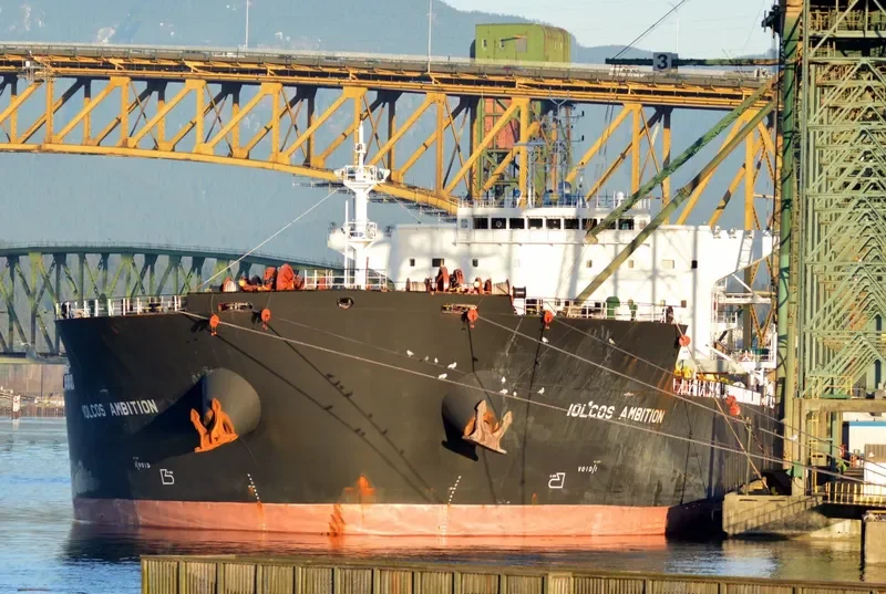 IOLCOS AMBITION Bulk Carrier IMO 9530632 photo 8