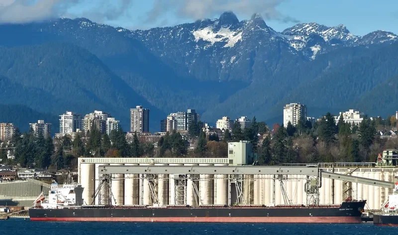 IOLCOS AMBITION Bulk Carrier IMO 9530632 photo 10