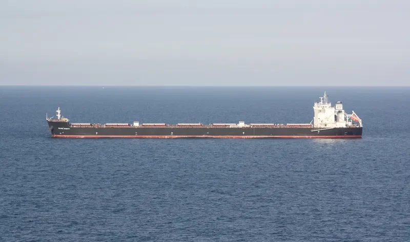 IOLCOS DIGNITY Bulk Carrier IMO 9530644 photo 3