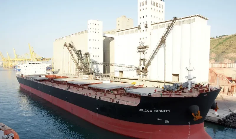 IOLCOS DIGNITY Bulk Carrier IMO 9530644 photo 8