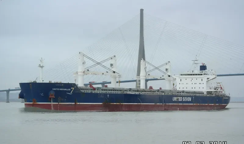 HG BRISBANE Bulk Carrier IMO 9530682 photo 10