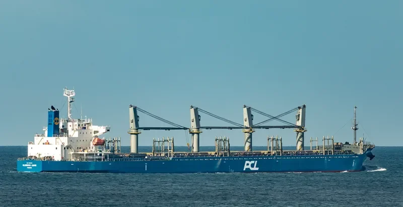 INDIGO MARCH General Cargo IMO 9530711 photo 3
