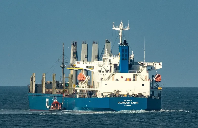 INDIGO MARCH General Cargo IMO 9530711 photo 4