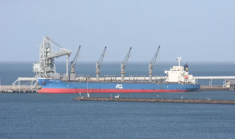 INDIGO MARCH General Cargo IMO 9530711 photo 7