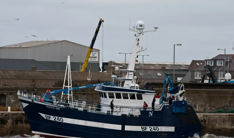 WILLING LAD N102 General Cargo IMO 9530876 photo 3