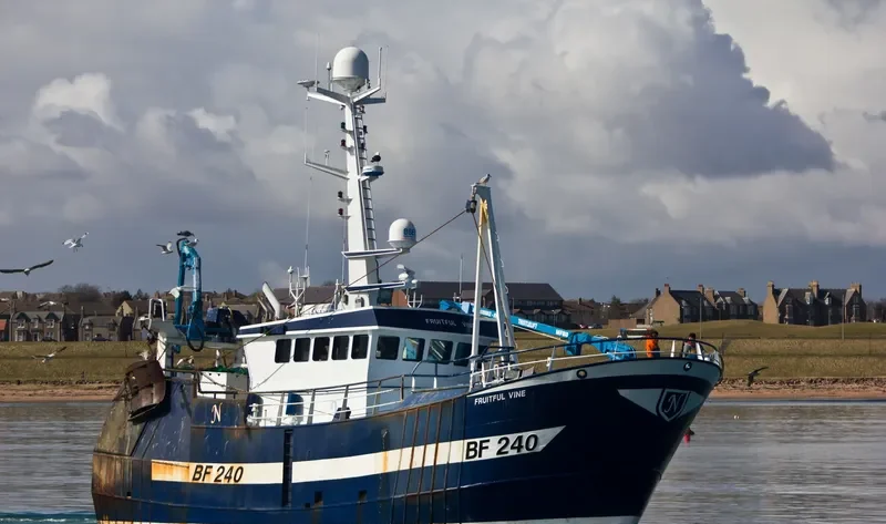 WILLING LAD N102 General Cargo IMO 9530876 photo 4