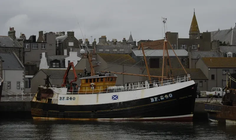 WILLING LAD N102 General Cargo IMO 9530876 photo 10