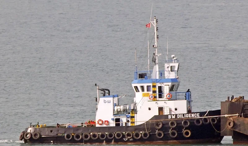 BW DILIGENCE General Cargo IMO 9531026