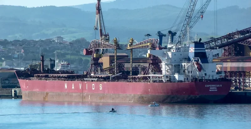 COPERNICUS N Bulk Carrier IMO 9531454 photo 3