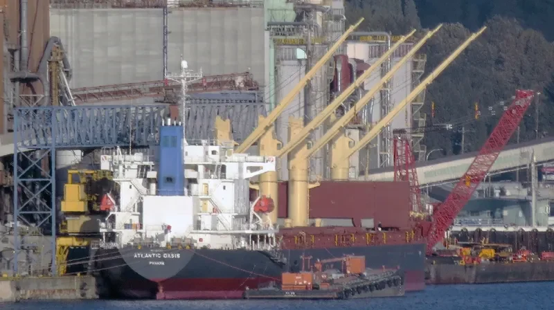 ATLANTIC OASIS Bulk Carrier IMO 9531650 photo 3