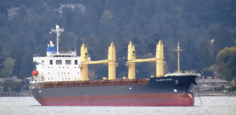 ATLANTIC OASIS Bulk Carrier IMO 9531650 photo 4