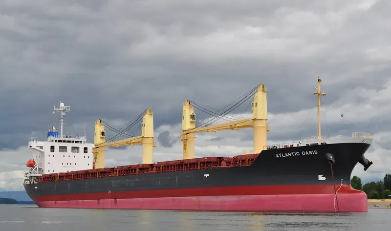 ATLANTIC OASIS Bulk Carrier IMO 9531650 photo 5