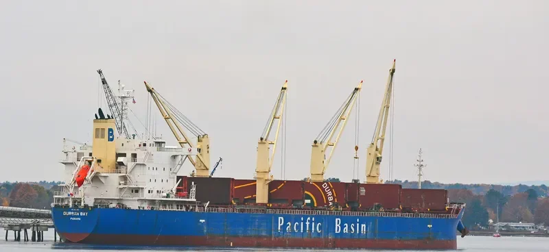 DURBAN BAY Bulk Carrier IMO 9531662 photo 3