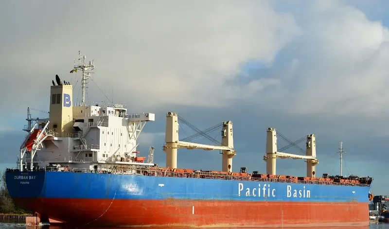 DURBAN BAY Bulk Carrier IMO 9531662 photo 10