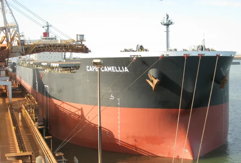 CAPE CAMELLIA Bulk Carrier IMO 9531856 photo 3