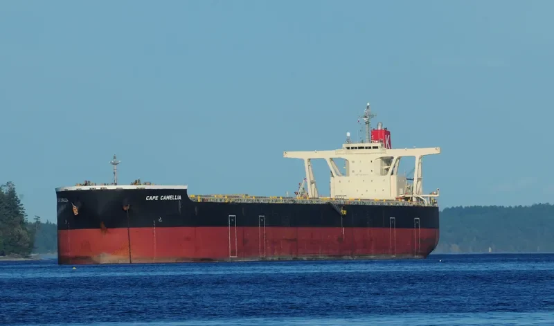 CAPE CAMELLIA Bulk Carrier IMO 9531856 photo 5