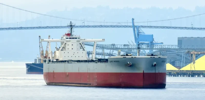 CAPE MIDORI Bulk Carrier IMO 9531868 photo 6