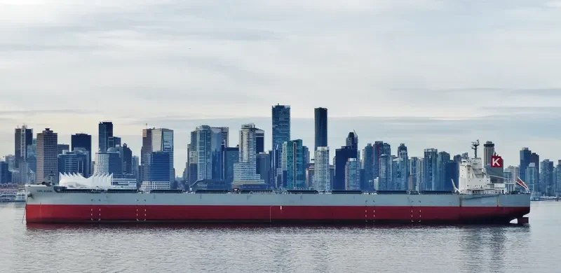 CAPE MIDORI Bulk Carrier IMO 9531868 photo 7