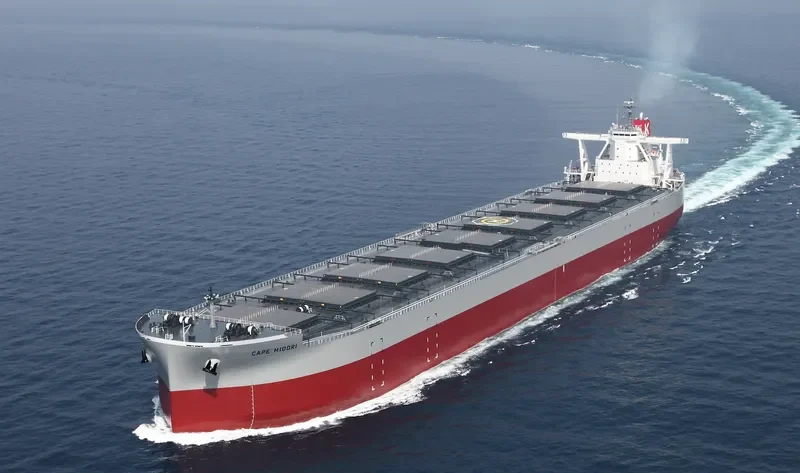 CAPE MIDORI Bulk Carrier IMO 9531868 photo 8