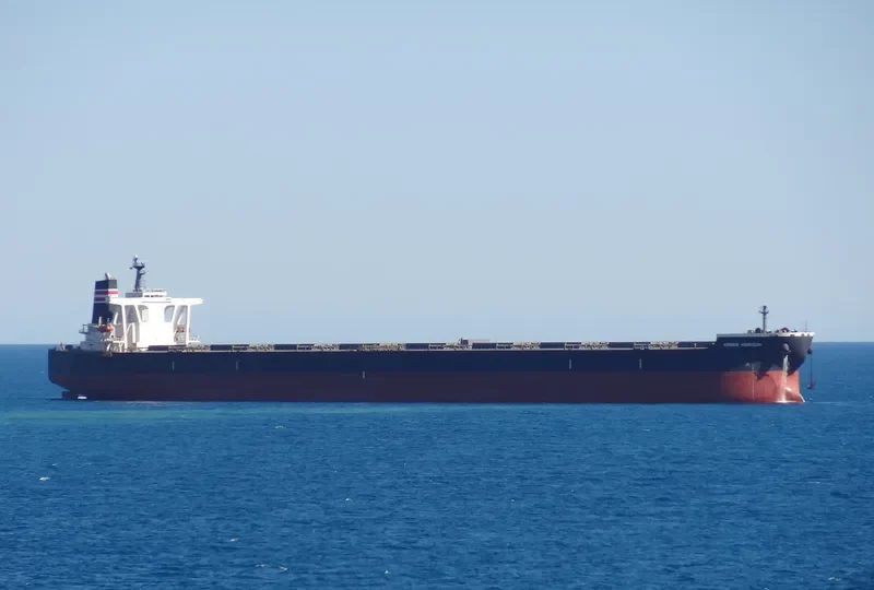 AMBER HORIZON Bulk Carrier IMO 9531870