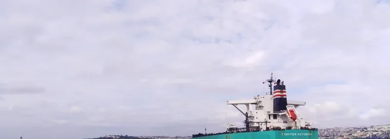 FRONTIER KOTOBUKI Bulk Carrier IMO 9532082 photo 6