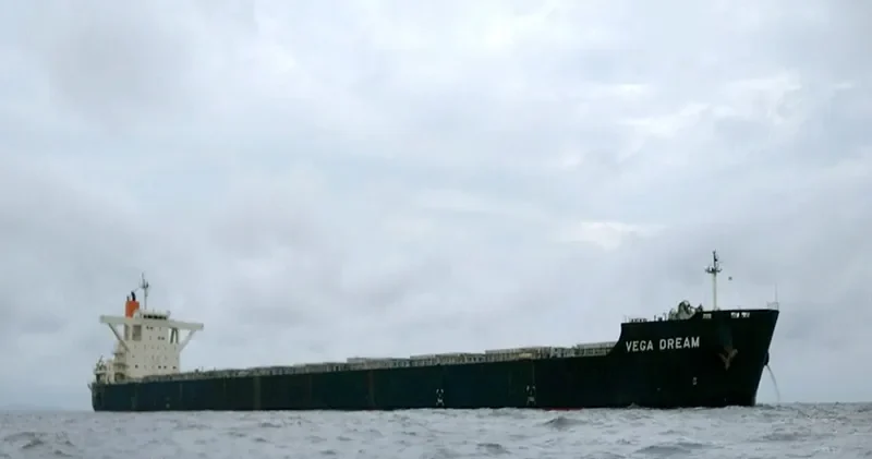 VEGA DREAM Bulk Carrier IMO 9532094