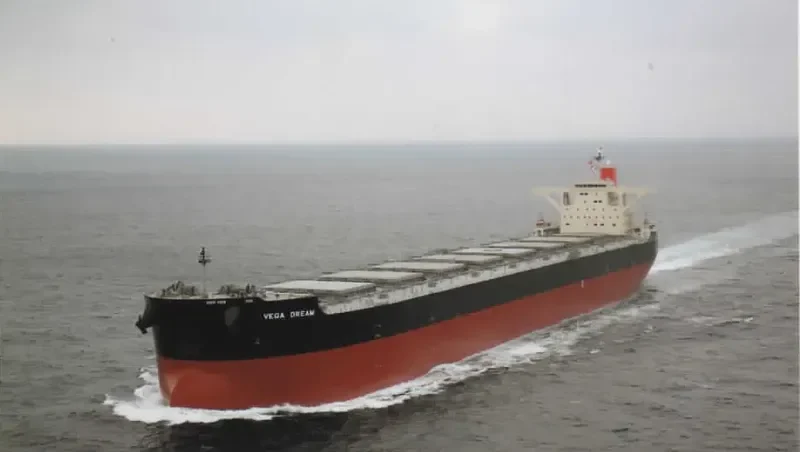 VEGA DREAM Bulk Carrier IMO 9532094 photo 4