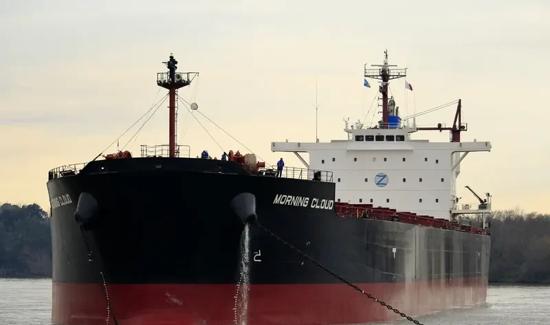 MORNING CLOUD Bulk Carrier IMO 9532197