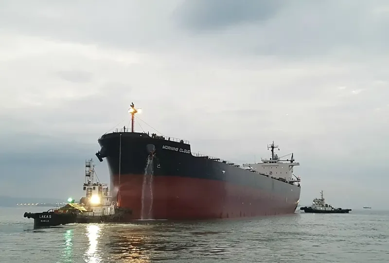 MORNING CLOUD Bulk Carrier IMO 9532197 photo 5