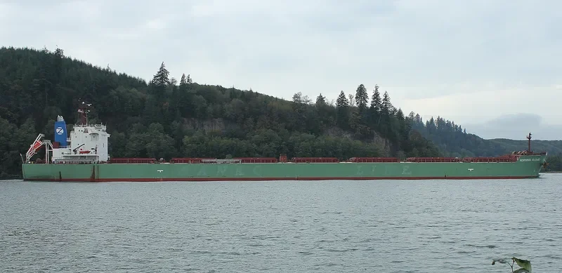 MORNING CLOUD Bulk Carrier IMO 9532197 photo 8