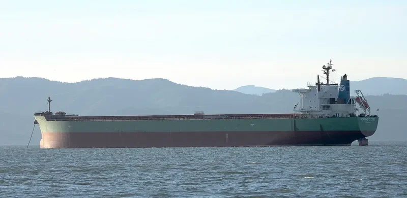 MORNING CLOUD Bulk Carrier IMO 9532197 photo 10