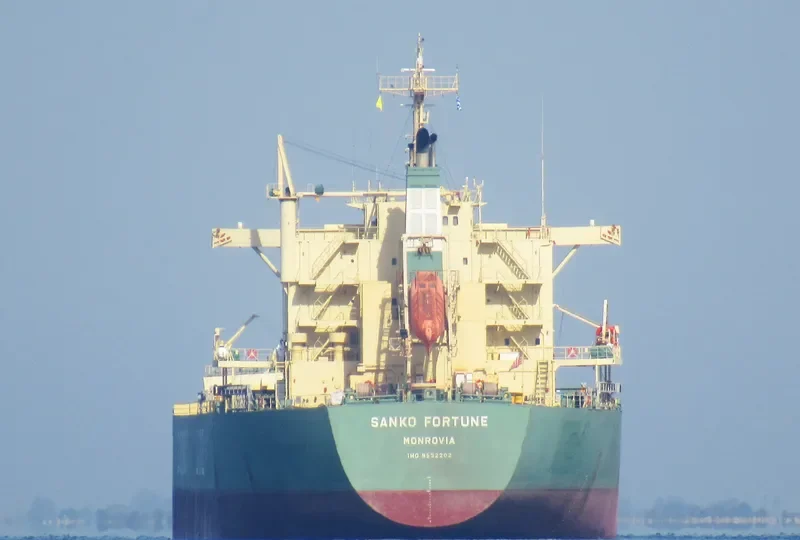 SANKO FORTUNE Bulk Carrier IMO 9532202 photo 7