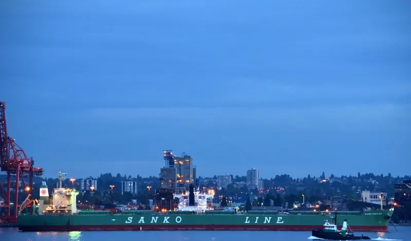 SANKO FORTUNE Bulk Carrier IMO 9532202 photo 10