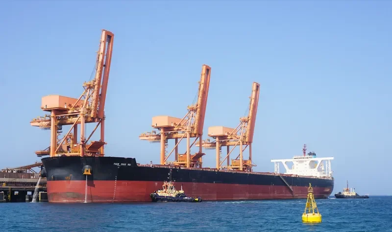YUAN ZHUO HAI Bulk Carrier IMO 9532599