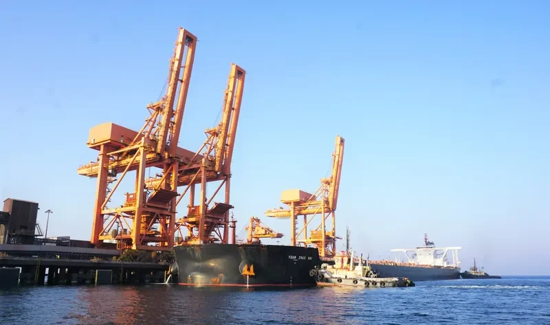 YUAN ZHUO HAI Bulk Carrier IMO 9532599 photo 5