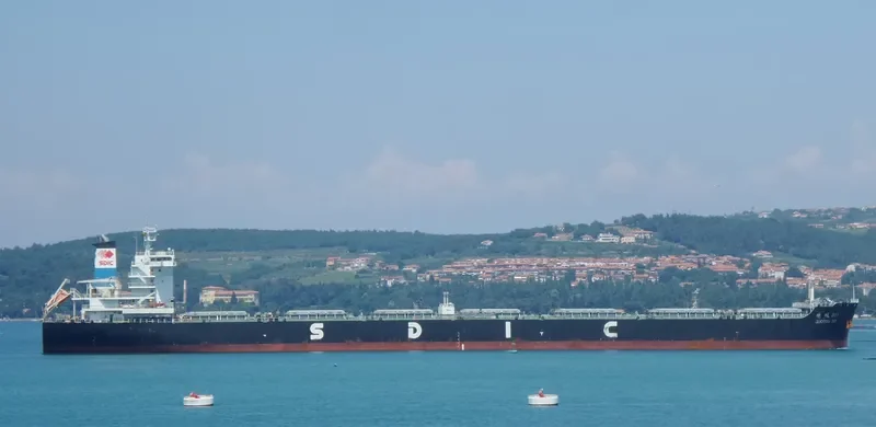JIN TAI FENG Bulk Carrier IMO 9532642 photo 5